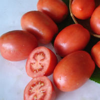 sort tomata chelnok